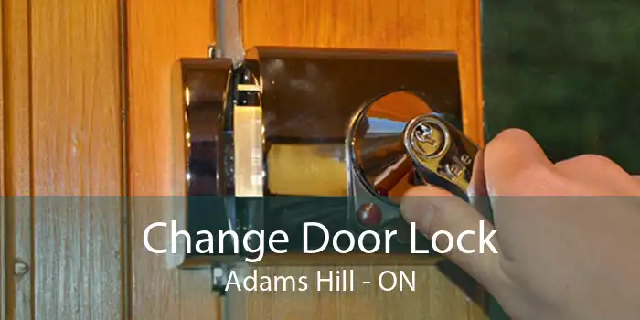 Change Door Lock Adams Hill - ON