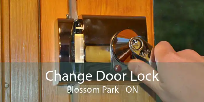 Change Door Lock Blossom Park - ON