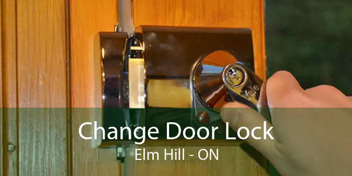 Change Door Lock Elm Hill - ON