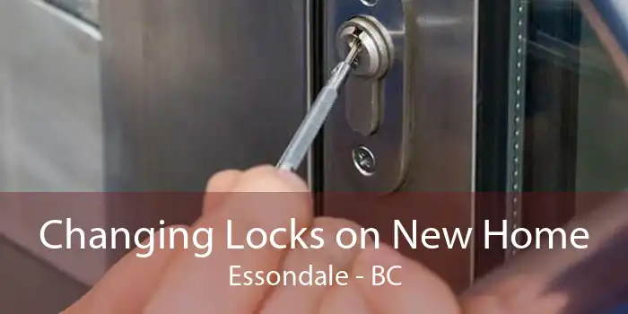 Changing Locks on New Home Essondale - BC