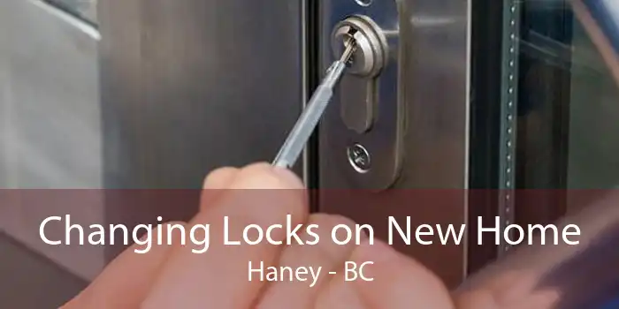 Changing Locks on New Home Haney - BC
