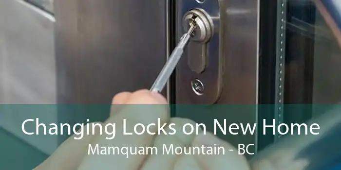 Changing Locks on New Home Mamquam Mountain - BC