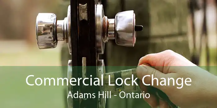 Commercial Lock Change Adams Hill - Ontario