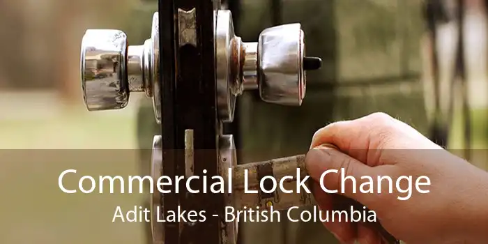 Commercial Lock Change Adit Lakes - British Columbia