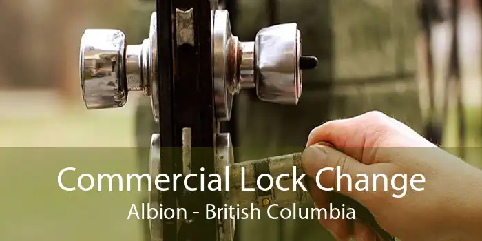 Commercial Lock Change Albion - British Columbia