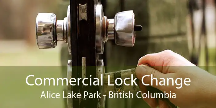 Commercial Lock Change Alice Lake Park - British Columbia
