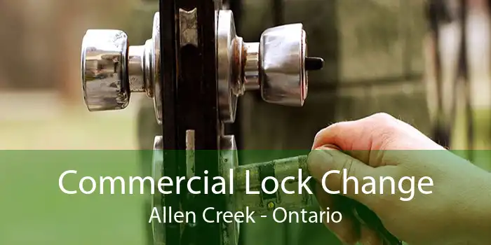 Commercial Lock Change Allen Creek - Ontario