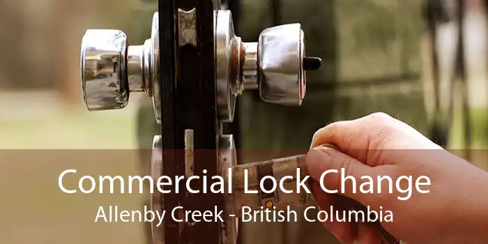 Commercial Lock Change Allenby Creek - British Columbia