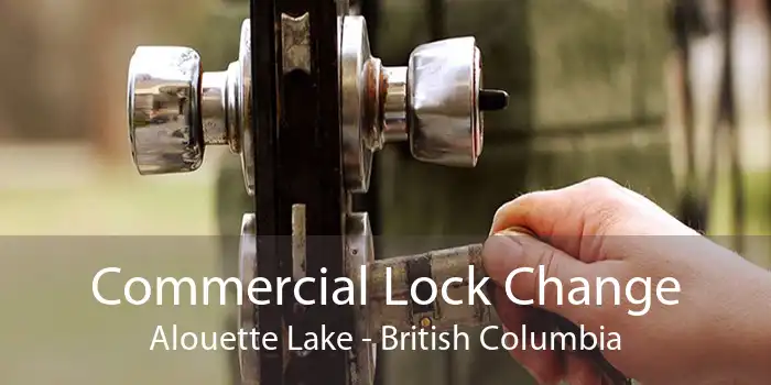 Commercial Lock Change Alouette Lake - British Columbia