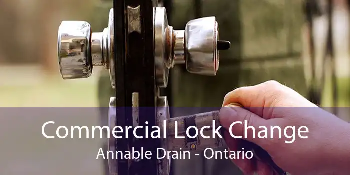 Commercial Lock Change Annable Drain - Ontario