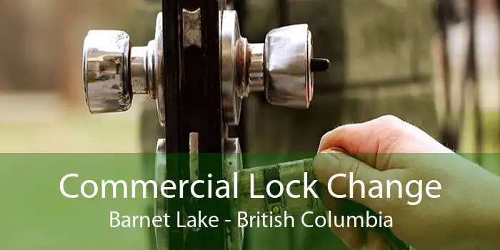 Commercial Lock Change Barnet Lake - British Columbia