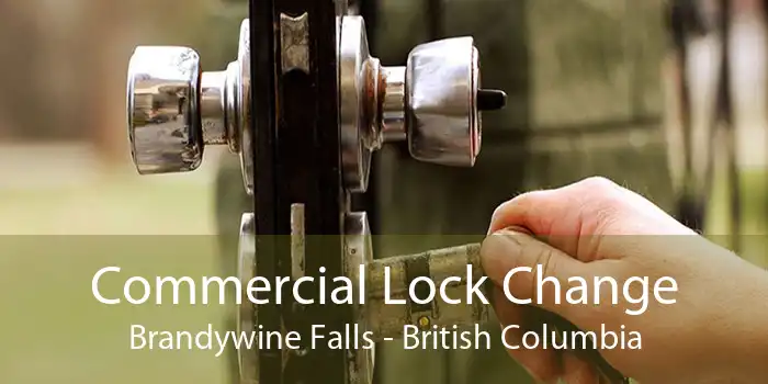 Commercial Lock Change Brandywine Falls - British Columbia
