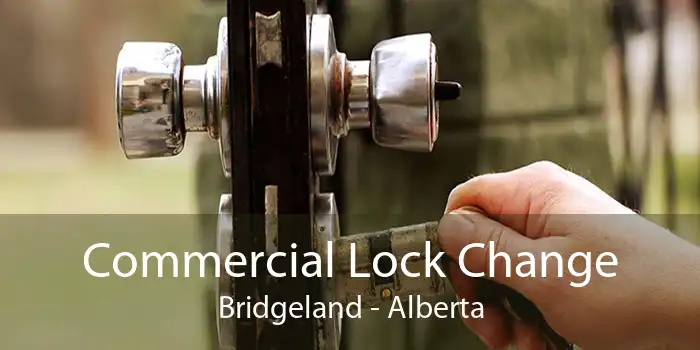 Commercial Lock Change Bridgeland - Alberta