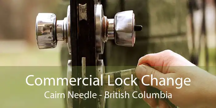 Commercial Lock Change Cairn Needle - British Columbia