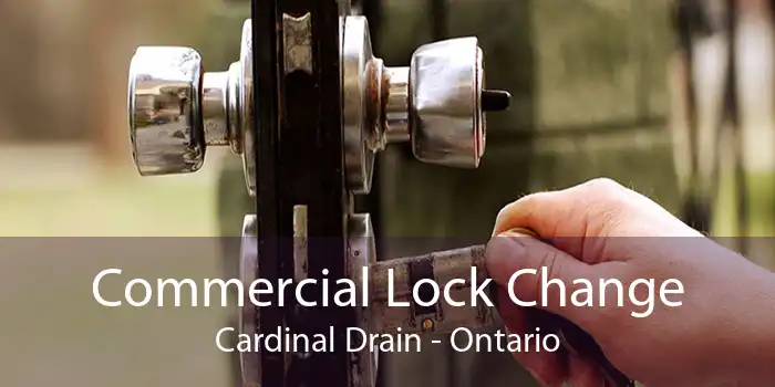 Commercial Lock Change Cardinal Drain - Ontario