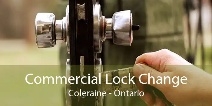 Commercial Lock Change Coleraine - Ontario