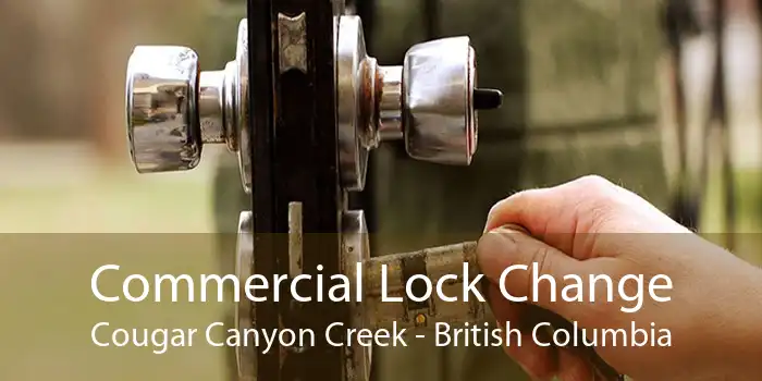 Commercial Lock Change Cougar Canyon Creek - British Columbia