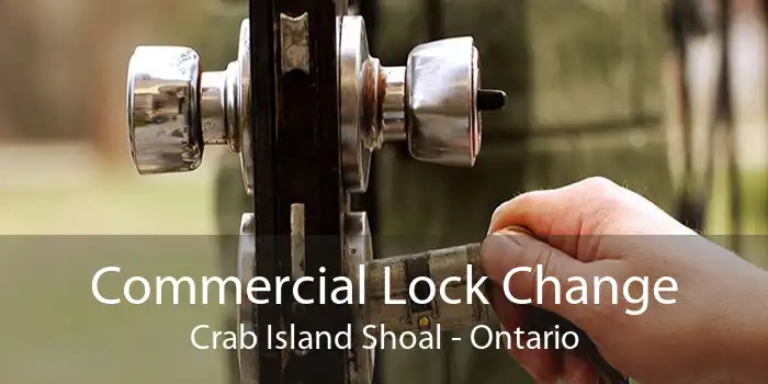 Commercial Lock Change Crab Island Shoal - Ontario