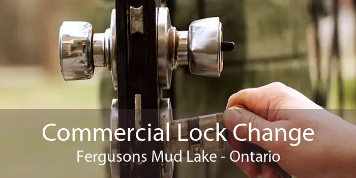 Commercial Lock Change Fergusons Mud Lake - Ontario