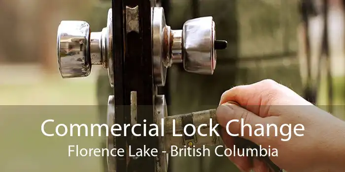 Commercial Lock Change Florence Lake - British Columbia