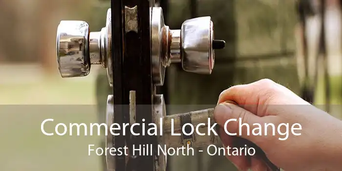 Commercial Lock Change Forest Hill North - Ontario