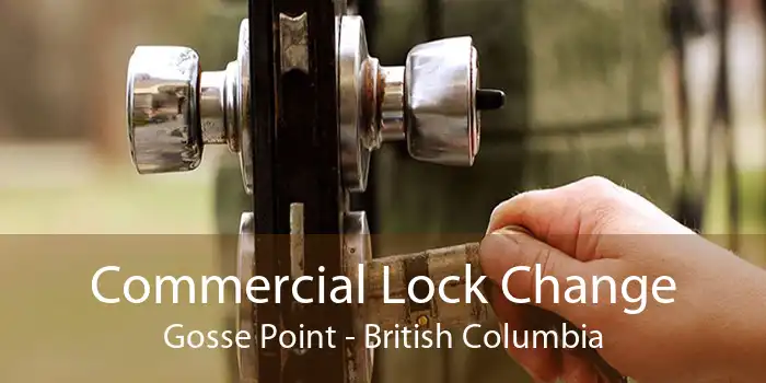 Commercial Lock Change Gosse Point - British Columbia