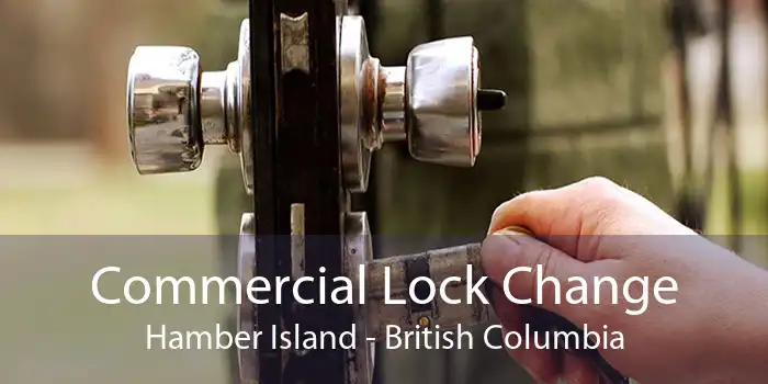 Commercial Lock Change Hamber Island - British Columbia