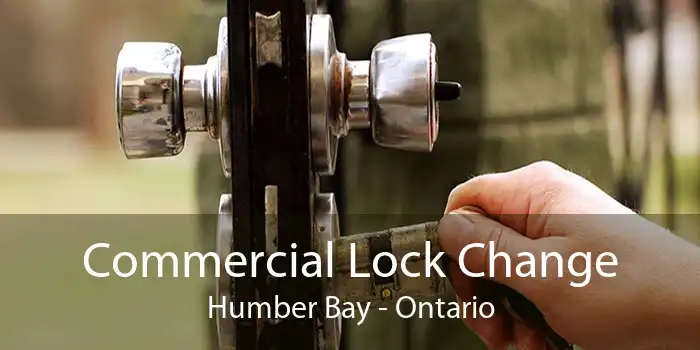 Commercial Lock Change Humber Bay - Ontario