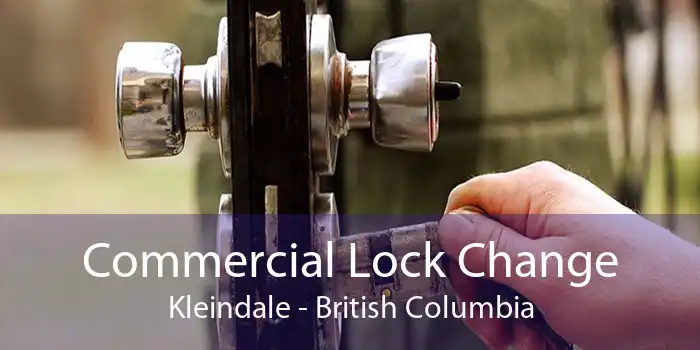 Commercial Lock Change Kleindale - British Columbia