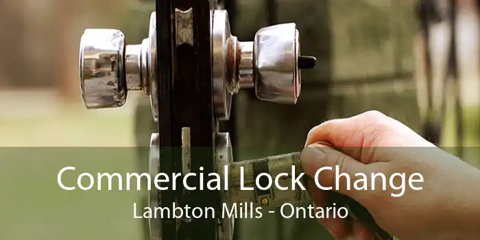 Commercial Lock Change Lambton Mills - Ontario