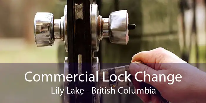Commercial Lock Change Lily Lake - British Columbia