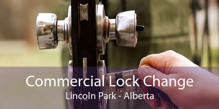 Commercial Lock Change Lincoln Park - Alberta