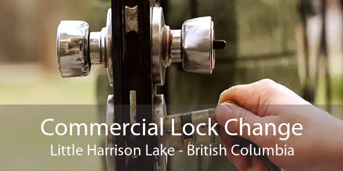 Commercial Lock Change Little Harrison Lake - British Columbia
