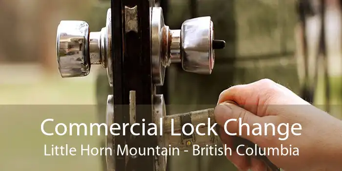 Commercial Lock Change Little Horn Mountain - British Columbia