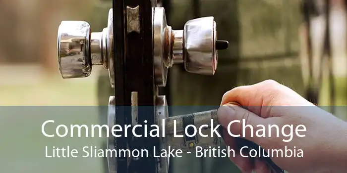 Commercial Lock Change Little Sliammon Lake - British Columbia