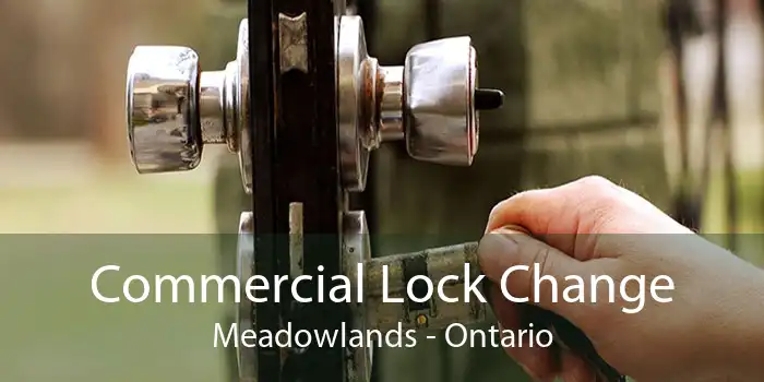 Commercial Lock Change Meadowlands - Ontario
