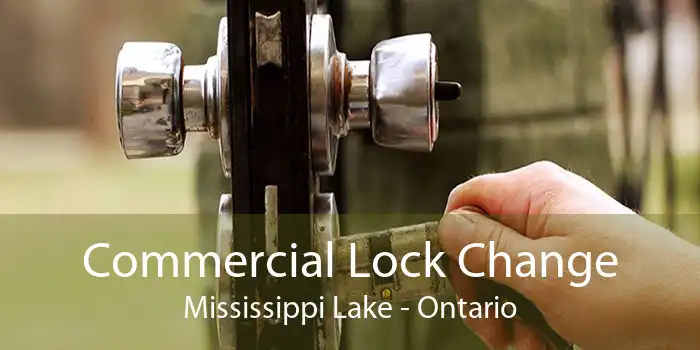 Commercial Lock Change Mississippi Lake - Ontario