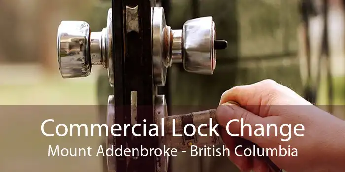 Commercial Lock Change Mount Addenbroke - British Columbia