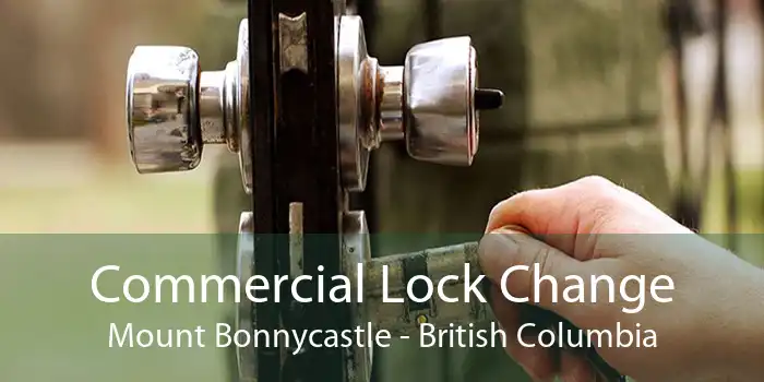Commercial Lock Change Mount Bonnycastle - British Columbia