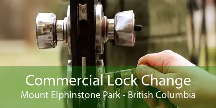 Commercial Lock Change Mount Elphinstone Park - British Columbia
