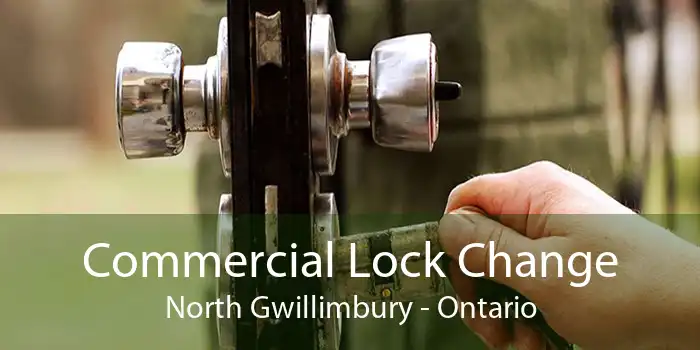 Commercial Lock Change North Gwillimbury - Ontario