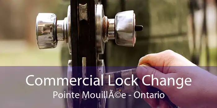 Commercial Lock Change Pointe MouillÃ©e - Ontario