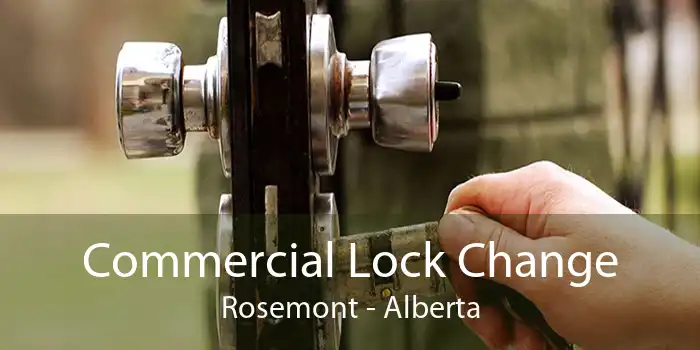 Commercial Lock Change Rosemont - Alberta