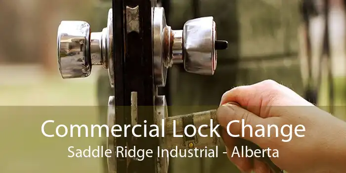 Commercial Lock Change Saddle Ridge Industrial - Alberta