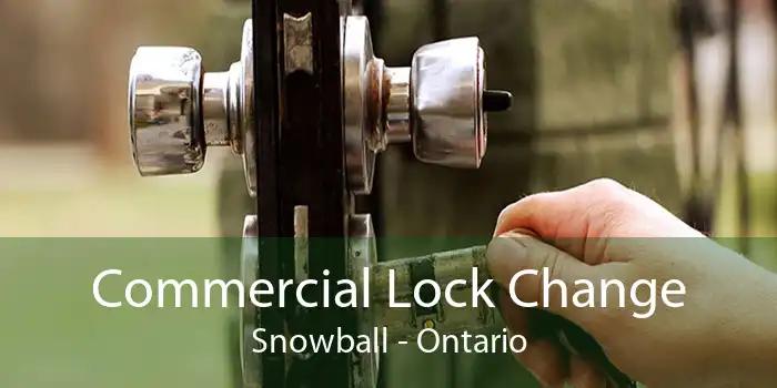 Commercial Lock Change Snowball - Ontario