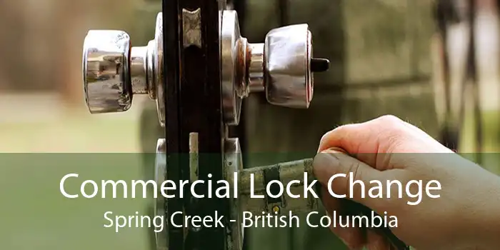 Commercial Lock Change Spring Creek - British Columbia