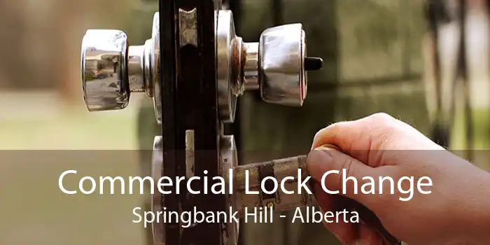 Commercial Lock Change Springbank Hill - Alberta
