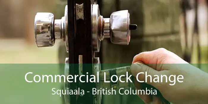 Commercial Lock Change Squiaala - British Columbia