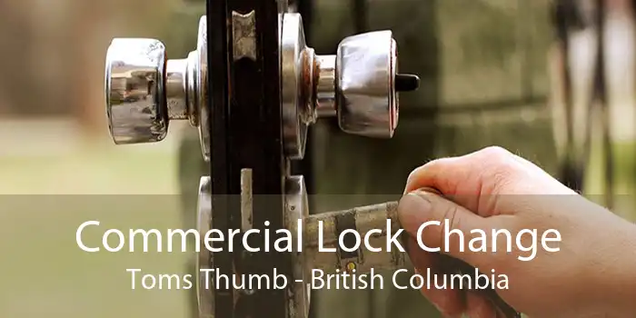 Commercial Lock Change Toms Thumb - British Columbia