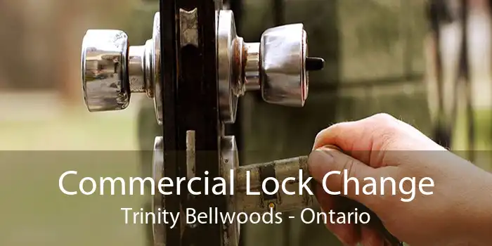 Commercial Lock Change Trinity Bellwoods - Ontario